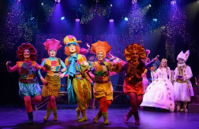 DSC_8566Alice-banner-2