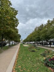 IMG_1990