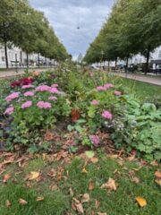IMG_1991
